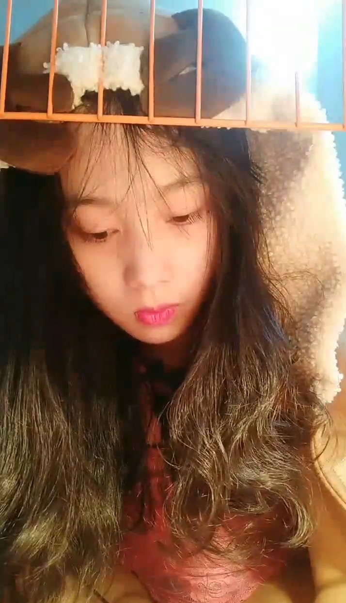 年輕漂亮清純妹紙,大姨媽來了堅持開播,拿著小貓咪摩擦陰$部