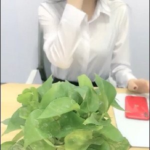 帝都辦公室情侶下班會議室啪啪,妹子下班前才被主管訓話,正不開心,打壹炮就好[MP4/331M]