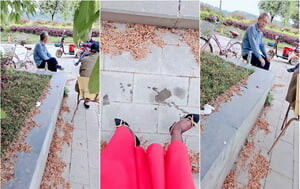 高雅文靜眼鏡輕熟美婦戶外大挑戰,背著幾個大爺玩弄大黑牛,噴壹地水,大爺壹直偷瞄,真刺激